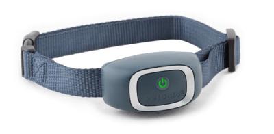 Anti blafband PBC19-16636 PetSafe - Gebr de boon