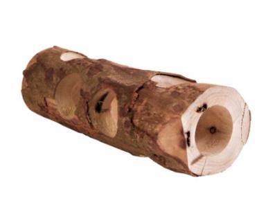 TRIXIE BUISTUNNEL HAMSTER SCHORSHOUT 30X7X7 CM 3 ST