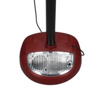 Kindergitaar Reig Microfoon - thumbnail