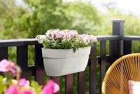 ELHO - Bloempot - Vibia Campana Easy Hanger Large - Zijde Wit - Buitenbalkon - L 24,1 x B 46 x H 26,5 cm - thumbnail