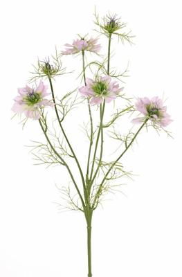 Nigella lavendel h65 cm kunstbloem zijde nepbloem Driesprong Collection - Driesprong collection Nigella lavendel h65 cm kunstbloem zijde nepbloem Driesprong Collection - Driesprong collection