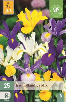 Bloembollen Iris Hollandica Mix 25st