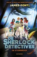 De stormroof - James Ponti - ebook - thumbnail