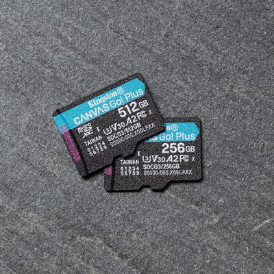 Kingston Canvas Go! Plus microSD-kaart 256 GB Class 10 UHS-I