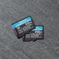 Kingston Canvas Go! Plus microSD-kaart 256 GB Class 10 UHS-I - thumbnail