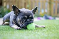 Rosewood Glow in the dark bal - thumbnail