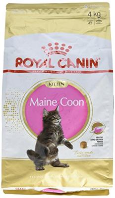Royal Canin Maine Coon voer voor kitten 4kg