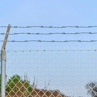 Prikkeldraad Groen 50 m Warmgedipte Gegalvaniseerde Staal - thumbnail