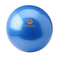 Gym Ball - Focus Fitness - 65 cm - thumbnail