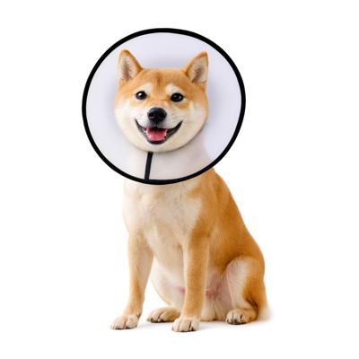 Nobleza Beschermkraag voor honden - Maat L Nobleza Beschermkraag voor honden - Maat L