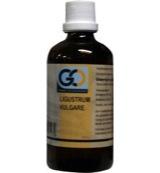 GO Ligustrum vulgare 100 Milliliter