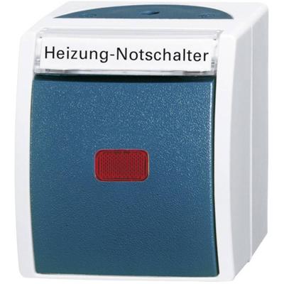 Busch-Jaeger 2601/6 SKWNH-53 Ocean (opbouw) Verwarmingsnoodschakelaar spatwaterdicht Blauw, Groen