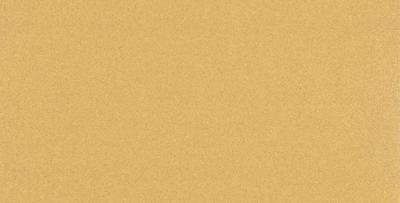 Bosch Accessories EXPERT C470 2608900875 Oscillerend schuurpapier Geperforeerd Korrelgrootte (num) 100 (l x b) 230 mm x 115 mm 10 stuk(s)