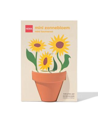 HEMA Groeipot mini zonnebloem