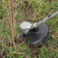Bosch Home and Garden AdvancedBrushCut 36V-23-750 Grastrimmer Accu Zonder accu, Met draaggordel Snijbreedte max.: 33 cm - thumbnail