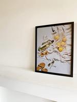 Deknudt S44CF2 13X18 Wissellijst Papierformaat: 13 x 18 cm Zwart - thumbnail