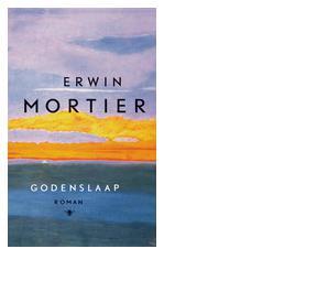 Godenslaap - Erwin Mortier - ebook