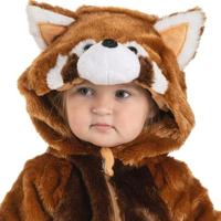 Baby Ginger Panda Pakje Premium - thumbnail