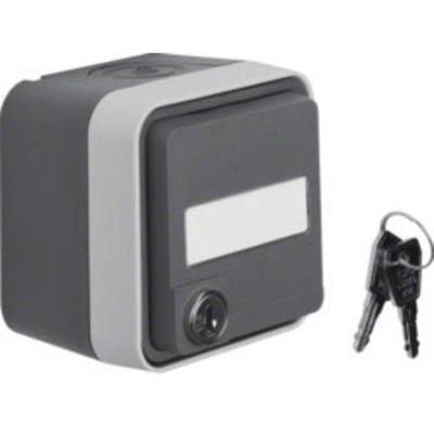 Berker 47393505 W.1 (opbouw) Wandcontactdoos met randaarde afsluitbaar spatwaterdicht Grijs, Lichtgrijs 1 stuk(s)