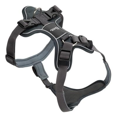 Hunter Divo Y-tuig Met Borstring Donkergrijs - L Hunter Divo Y-tuig Met Borstring Donkergrijs - L