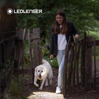 Ledlenser P6R Core Oplaadbare Zaklamp Zaklantaarn Zwart - thumbnail