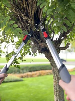 Talen tools takkenschaar voorbijsnijdend telescopisch premium 66-99 cm