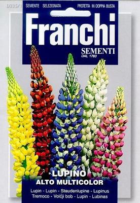 Lupine Lupino Alto Multicolor 335/1 zaden Franchi - Franchi