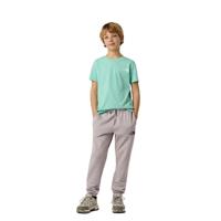 The North Face S/S Simple Dome Casual T-shirt Jongens 152 - thumbnail