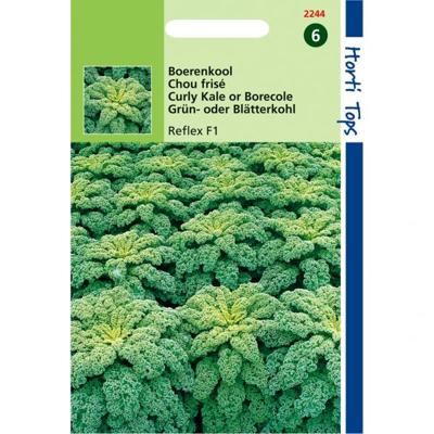Zaden Boerenkool Reflex F1 Hortitops - Hortitops Zaden Boerenkool Reflex F1 Hortitops - Hortitops