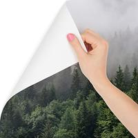 Fotobehang - Bomen in de mist, Bos, groen/grijs, Vinyl behang, 11 maten, Premium Print, inclusief behanglijm, eenvoudig aan te brengen - thumbnail