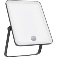OSRAM HOMELIGHTING Floodlight Essential Sensor 30W 3000K 4099854430091 LED-buitenschijnwerper met bewegingsmelder 30 W Lichtkleur (naam): Warmwit - thumbnail