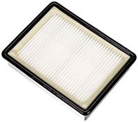 AEG Hygiene En Motorfilter Aef147 - thumbnail