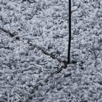 Vloerkleed shaggy hoogpolig modern 200 cm blauw - thumbnail
