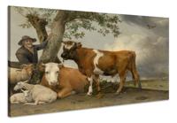 Schilderij Paulus Potter, De Stier, 1647, premium print - thumbnail