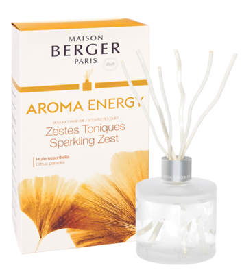 Maison Berger Maison Berger Bouquet Aroma Energy - Sparkling Zest 180 Ml unisex