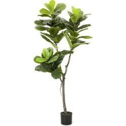 Kunstboom Ficus Lyrata 150cm