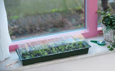 Nature Vensterbank kweekset 10x49x15.5cm