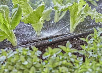 GARDENA Micro-Drip system 13321-20 Sproeikop 13 mm (1/2) Ø
