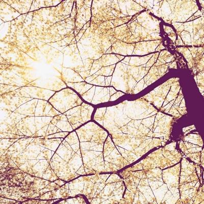 Noordwand Komar Munich Design Fotobehang Sunshine - V5-752