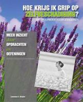 Hoe krijg ik grip op zelfbeschadiging? (Paperback) - thumbnail