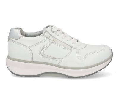 Xsensible Stretchwalker New Jersey 30150.3 151 white combi Wit maat 42