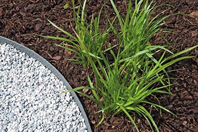 Pondedge set van 10 grondpennen XL Pondedge set van 10 grondpennen XL