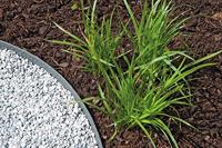 Pondedge set van 10 grondpennen XL - thumbnail