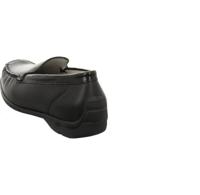 Waldläufer Harriet - thumbnail