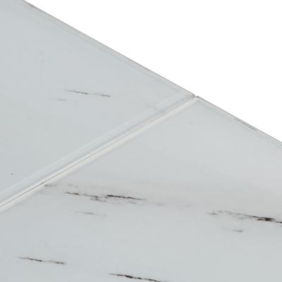 Salontafel roestvrijstaal en gehard glas zilverkleurig