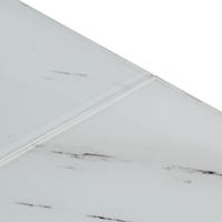 Salontafel roestvrijstaal en gehard glas zilverkleurig - thumbnail