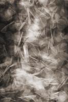 Moooi Carpets - Vloerkleed Falling Petals Wool - - thumbnail