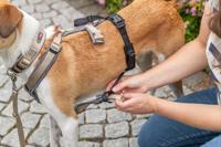 Trixie paniekadapter stay voor tuigen zwart - thumbnail