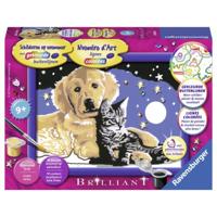 Ravensburger Schilderen op Nummer schitterende sterrenhemel - thumbnail