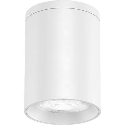 EVN AL54100102 EVN Lichttechnik LED-plafondlamp 10 W Wit